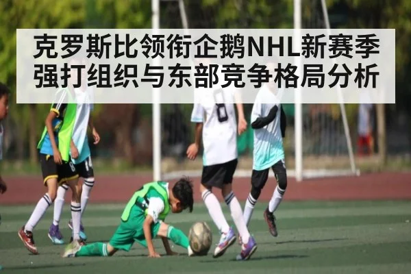 克罗斯比领衔企鹅NHL新赛季强打组织与东部竞争格局分析 | kaiyun